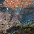 San Francisco Garden Show 2013